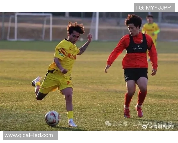 上海足球队实力飙升创造历史新高引发全国关注与期待