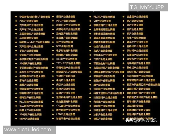 足球产业链全景解析与市场销售策略探讨