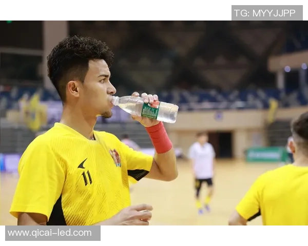 踢足球锦标赛下载攻略与技巧分享助你成为足球场上的明星球员